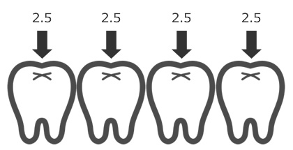 歯並びがキレイな場合、力の加わり方が均一
